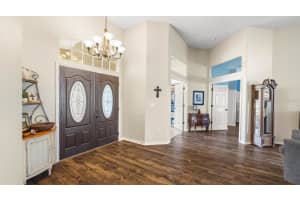 19127 WIND DANCER STREET, LUTZ, FL 33558 Sold 06/14/24