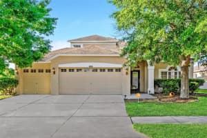 19028 TILOBE LOOP, LAND O LAKES, FL 34638 Sold 11/14/24