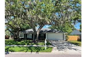 15109 LYNX DRIVE, TAMPA, FL 33624 Sold 11/15/24
