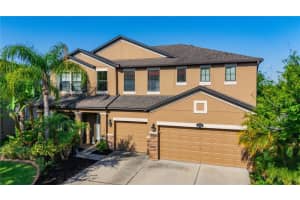 11511 PALMETTO PINE, RIVERVIEW, FL 33569 Sold 05/20/24