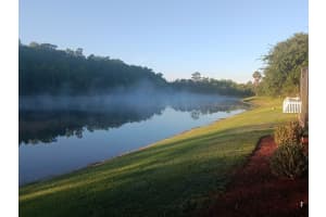 10530 SKY FLOWER COURT, LAND O LAKES, FL 34638 Sold 09/30/24