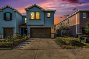 6881 CITRUS CREEK LANE, TAMPA, FL 33625 Sold 06/07/24