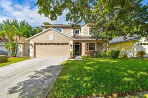 10942 MAY APPLE CT, LAND O LAKES, FL 34638 Sold 06/21/24