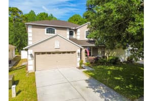 10942 MAY APPLE CT, LAND O LAKES, FL 34638 Sold 06/21/24