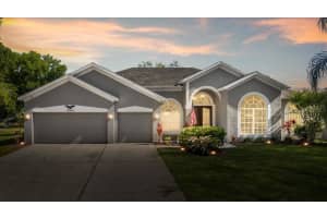15853 BEREA DRIVE, ODESSA, FL 33556 Sold 06/14/24