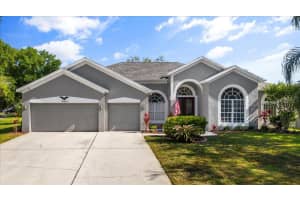 15853 BEREA DRIVE, ODESSA, FL 33556 Sold 06/14/24