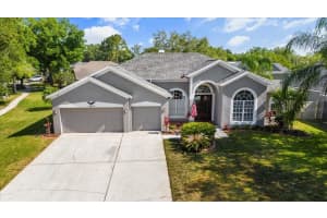 15853 BEREA DRIVE, ODESSA, FL 33556 Sold 06/14/24