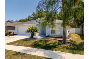 539 ROYAL RIDGE STREET, VALRICO, FL 33594 Sold 06/18/24