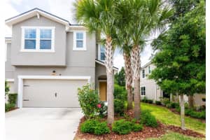 5936 GRAND SONATA AVENUE, LUTZ, FL 33558 Sold 03/12/25