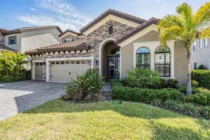 11225 HAWKS FERN DRIVE, RIVERVIEW, FL 33569 Sold 08/26/24