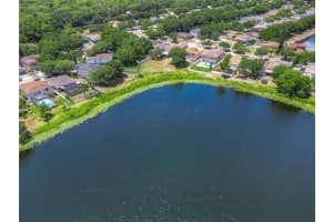 2050 STONEVIEW ROAD, ODESSA, FL 33556 Sold 07/25/24