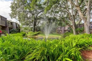 10618 CARROLLBROOK LN, TAMPA, FL 33618 Sold 11/22/24