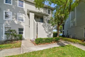 7196 BANK DRIVE, TAMPA, FL 33617 Sold 12/06/24