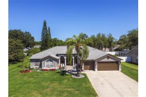 17035 WINNERS CIRCLE, ODESSA, FL 33556 Sold 06/17/24