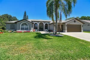 17035 WINNERS CIRCLE, ODESSA, FL 33556 Sold 06/17/24