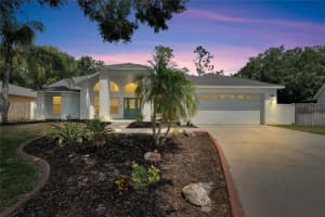 9818 SUNNYOAK DRIVE, RIVERVIEW, FL 33569 Sold 10/25/24