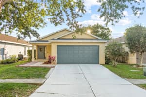11311 PALM ISLAND AVENUE, RIVERVIEW, FL 33569 Sold 07/03/24