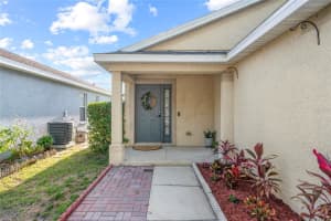 11311 PALM ISLAND AVENUE, RIVERVIEW, FL 33569 Sold 07/03/24