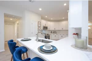 19815 WYNDHAM LAKES DRIVE, ODESSA, FL 33556 Sold 06/04/24