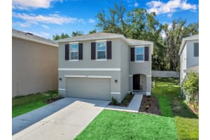 10917 TRAILING VINE DRIVE, TAMPA, FL 33610 Sold 06/25/24