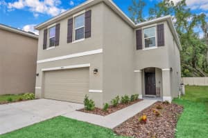 10917 TRAILING VINE DRIVE, TAMPA, FL 33610 Sold 06/25/24