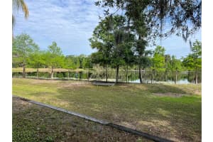 2213 GREEN OAKS LANE, TAMPA, FL 33612 Sold 07/17/24