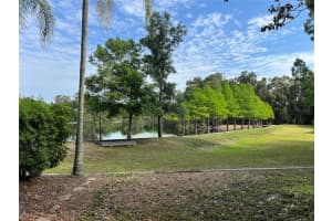 2213 GREEN OAKS LANE, TAMPA, FL 33612 Sold 07/17/24