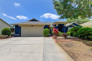 368 HEDGEROW LANE, TARPON SPRINGS, FL 34688 Sold 08/22/24