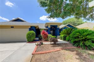 368 HEDGEROW LANE, TARPON SPRINGS, FL 34688 Sold 08/22/24