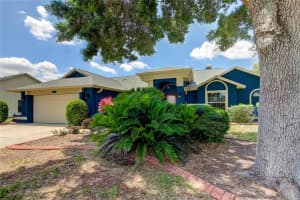 368 HEDGEROW LANE, TARPON SPRINGS, FL 34688 Sold 08/22/24