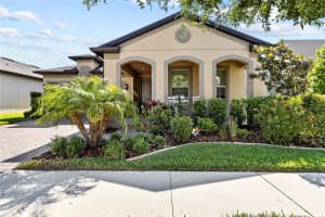 18746 BIRCHWOOD GROVES DRIVE, LUTZ, FL 33558 Sold 06/28/24