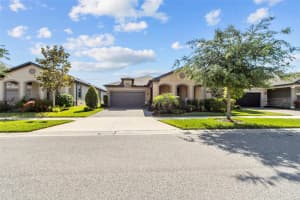 18746 BIRCHWOOD GROVES DRIVE, LUTZ, FL 33558 Sold 06/28/24