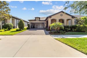 18746 BIRCHWOOD GROVES DRIVE, LUTZ, FL 33558 Sold 06/28/24