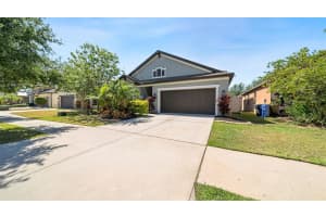 11341 AMERICAN HOLLY DRIVE, RIVERVIEW, FL 33578 Sold 07/19/24
