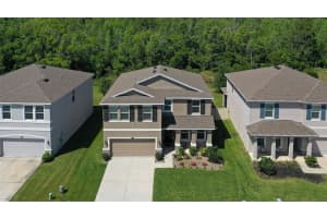 2931 STORYBROOK PRESERVE DRIVE, ODESSA, FL 33556 Sold 09/12/24