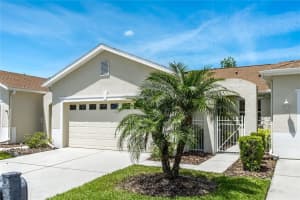 8323 FALLGLO LANE, LAND O LAKES, FL 34637 Sold 06/12/24