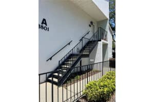 3801 OAK DRIVE, TAMPA, FL 33611 Sold 06/20/24