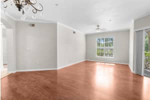 9316 CRESCENT LOOP CIRCLE, TAMPA, FL 33619 Sold 06/21/24