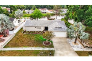 6506 CRYSTAL BROOK DRIVE, TAMPA, FL 33625 Sold 07/03/24