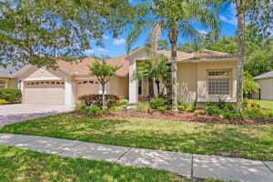 17359 EMERALD CHASE DRIVE, TAMPA, FL 33647 Sold 10/31/24