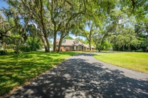 1317 ALCOMA DRIVE, BRANDON, FL 33510 Sold 02/03/25