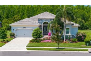 2273 HOLLOW FOREST COURT, WESLEY CHAPEL, FL 33543 Sold 07/12/24