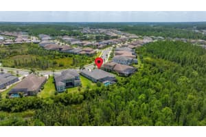 2273 HOLLOW FOREST COURT, WESLEY CHAPEL, FL 33543 Sold 07/12/24