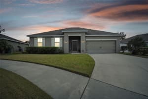 36246 DELTA GOLD COURT, ZEPHYRHILLS, FL 33541 Sold 08/06/24