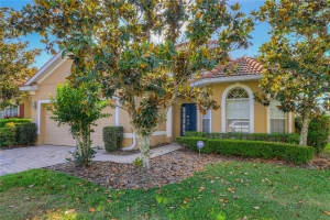 18024 JAVA ISLE DRIVE, TAMPA, FL 33647 Sold 10/02/24