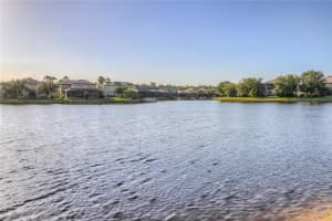 18024 JAVA ISLE DRIVE, TAMPA, FL 33647 Sold 10/02/24