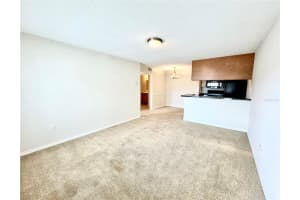 215 LAKE BROOK CIRCLE, BRANDON, FL 33511 Sold 07/19/24