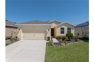 31457 TANSY BEND, WESLEY CHAPEL, FL 33545 Sold 09/25/24