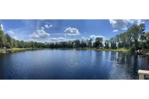 16912 FILLY LANE, ODESSA, FL 33556 Sold 06/07/24