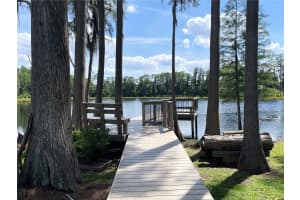 16912 FILLY LANE, ODESSA, FL 33556 Sold 06/07/24